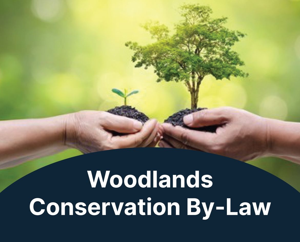 Forestry and Natural Heritage | Middlesex County